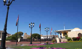 Muscat